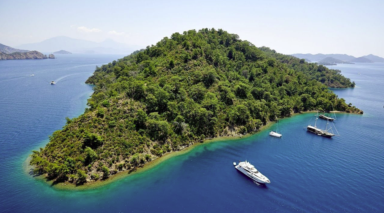 Снимок экрана 2025-11-05 в 17.46.20